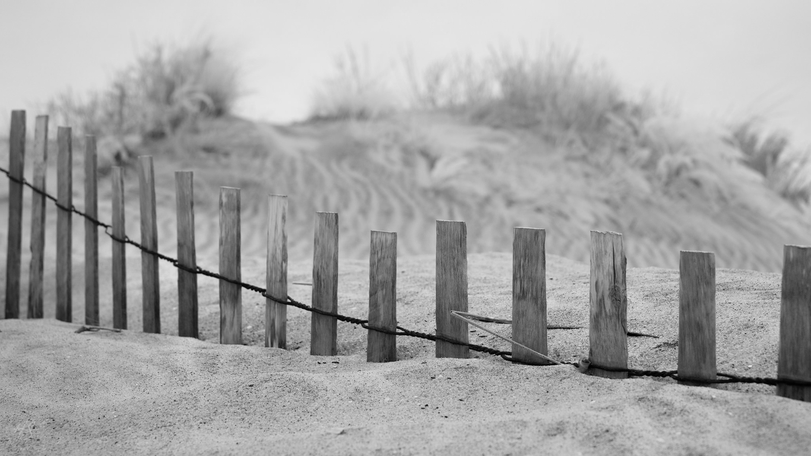 2021_05_Assateague-10015-Edit2048.jpg - Buried sand fence on the beach.