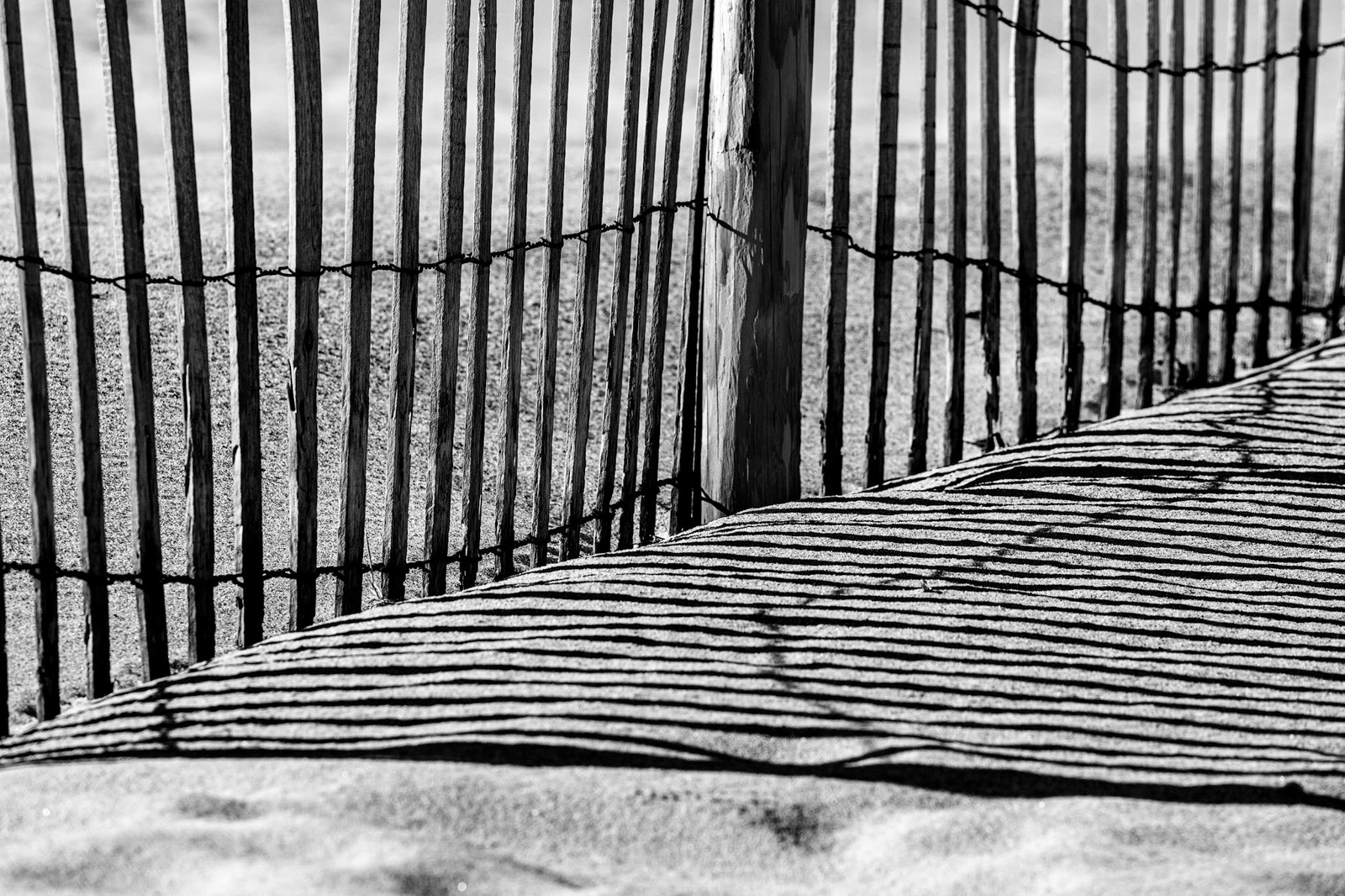 2021_05_Assateague-13541-Edit2048.jpg - The last morning was bittersweet, we got up early and drove around the island while the light was still good and, of course, I took more pictures of the sand fences.  Too soon we headed back to the hotel to pack up and drive home.