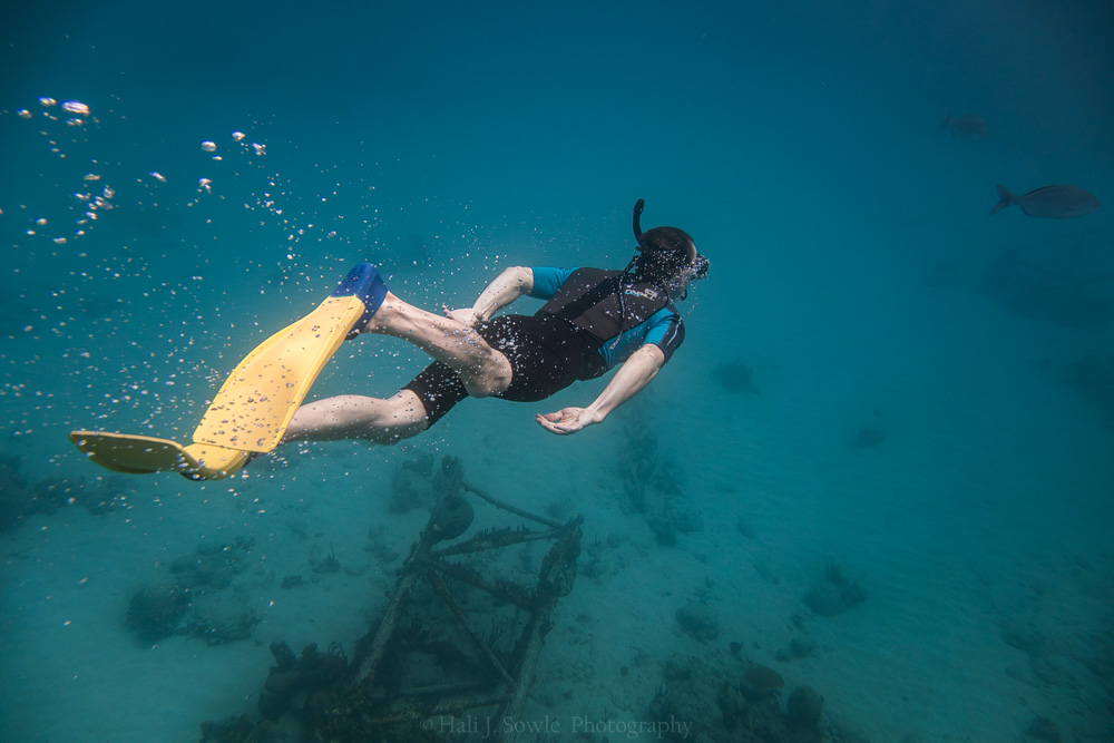 2016_11_Barbados-10177-Edit1000.jpg - A very streamlined semi-aquatic species,  Mikus inwaterus.