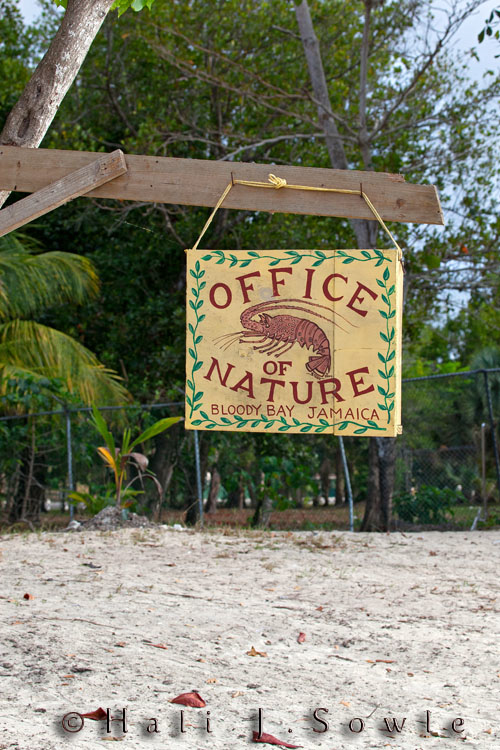 2011_01_18_BreezesGrande-10566-Edit750.jpg - The "Office of Nature" was actually a place to buy a well polished conch shell or other type of souvenirs up on the beach past the resort section.