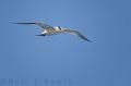 2011_01_20_BreezesGrande-10391-Edit750