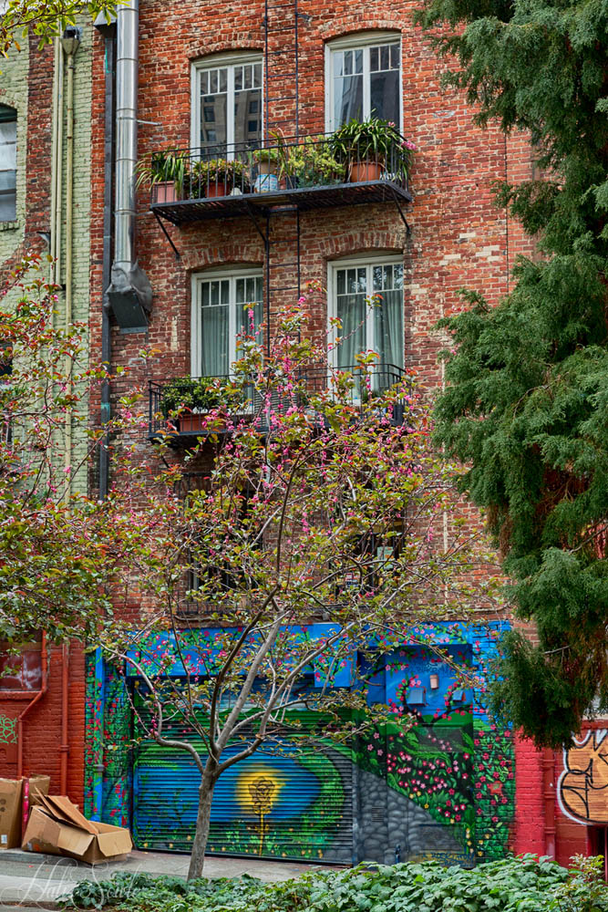 2015_05_California-10450-Edit1000.jpg - A small, pretty park off of Chinatown, at least until you looked more closely and realized people were living in the boxes on the side of the buildings.  I had never seen anyone shoot up Heroin before until we walked through that park.