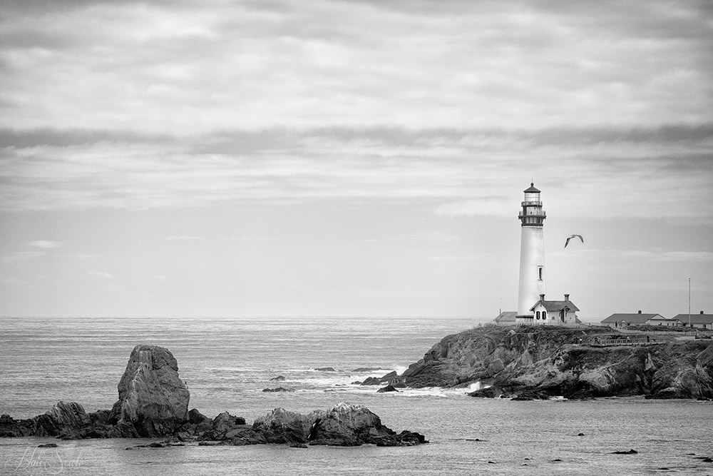 2015_05_California-11275-Edit1000_SEP2.jpg - We stopped at a few spots along the way to Gilroy, Pigeon Point Lighthouse was one of them.  Pigeon Point lighthouse is also a hostel with 4  houses right next to the lighthouse.