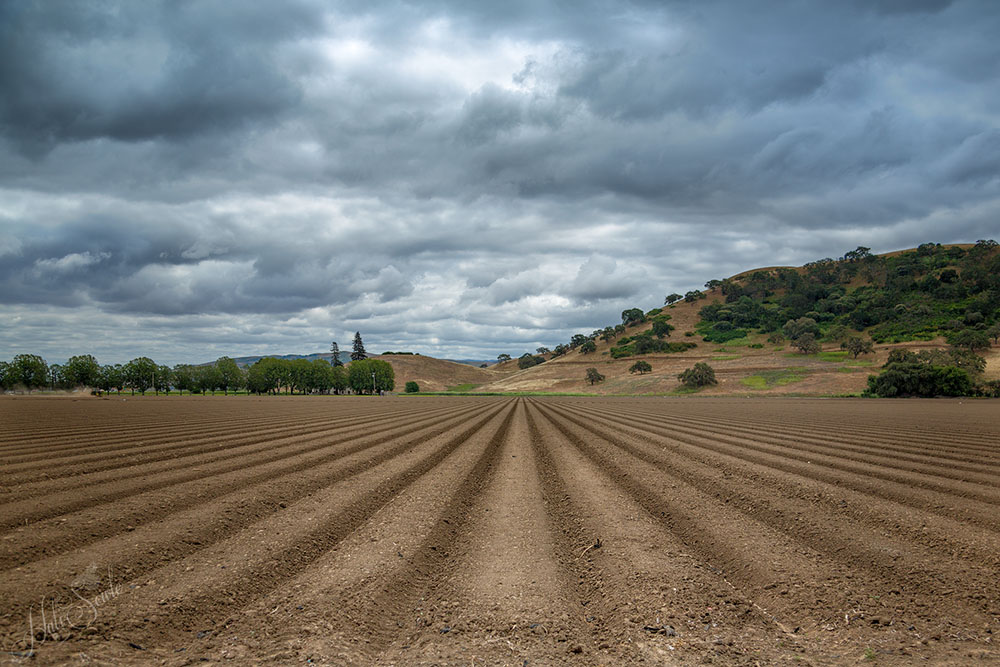 2015_05_California-11379-Edit1000.jpg - Ready to Plant.  These fields were freshly turned and waiting for seeds and water.  With all those clouds we didn't see a bit of rain.