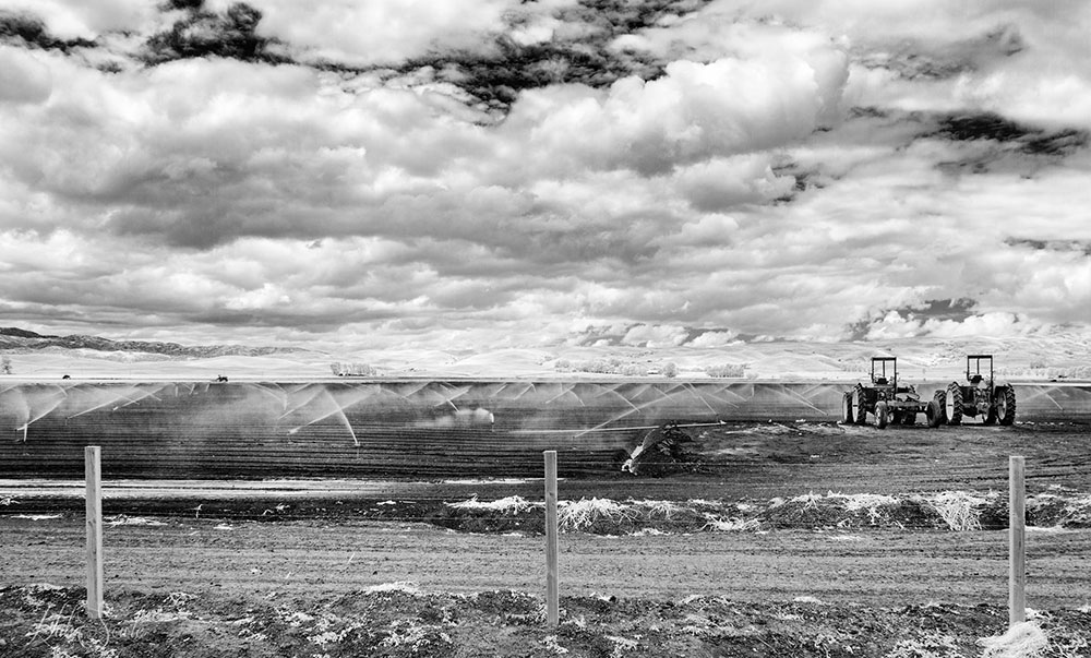 2015_05_California-11423-Edit1000.jpg - Irrigation time, Infrared.