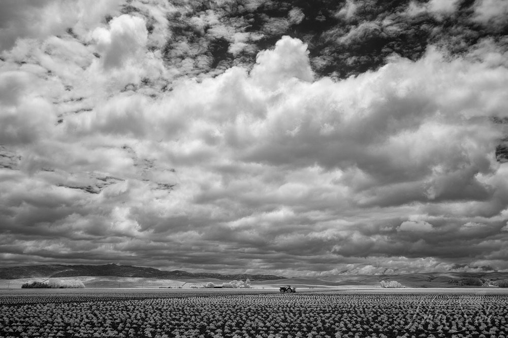 2015_05_California-11479-Edit1000.jpg - Big sky, lots of clouds and no rain.  Fields in Infrared.