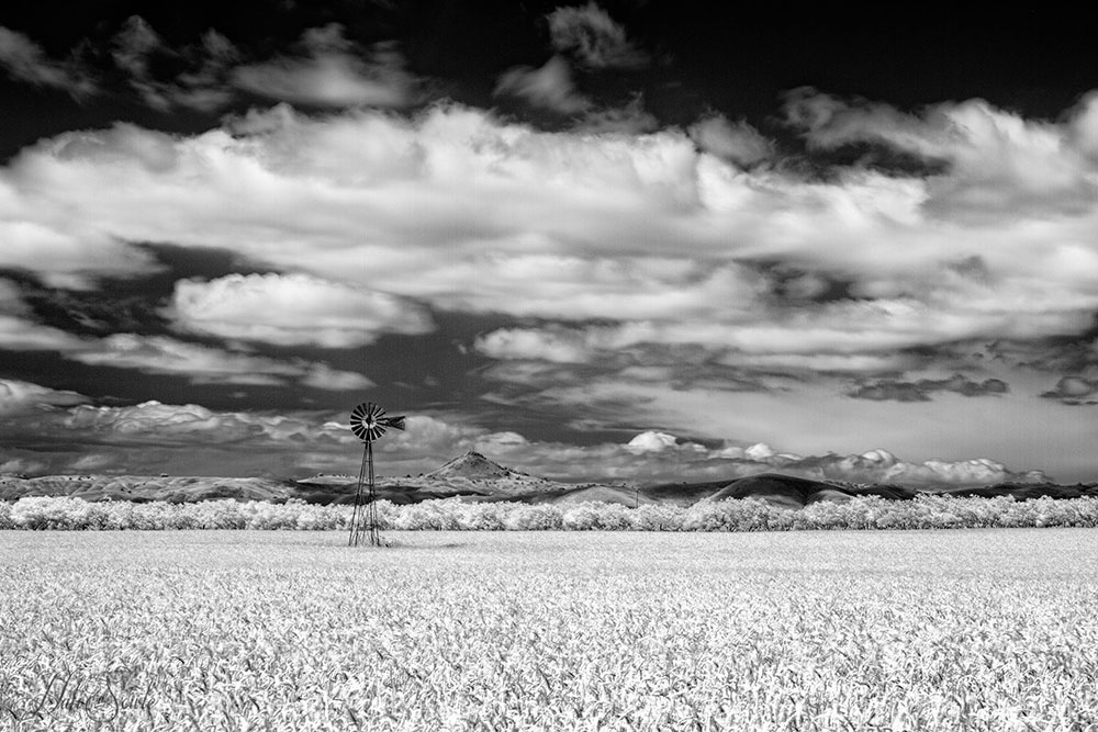 2015_05_California-11571-SEP-Edit1000.jpg - We saw this windvane sitting out in a field next to the Hollister Fire Department.  Infrared.