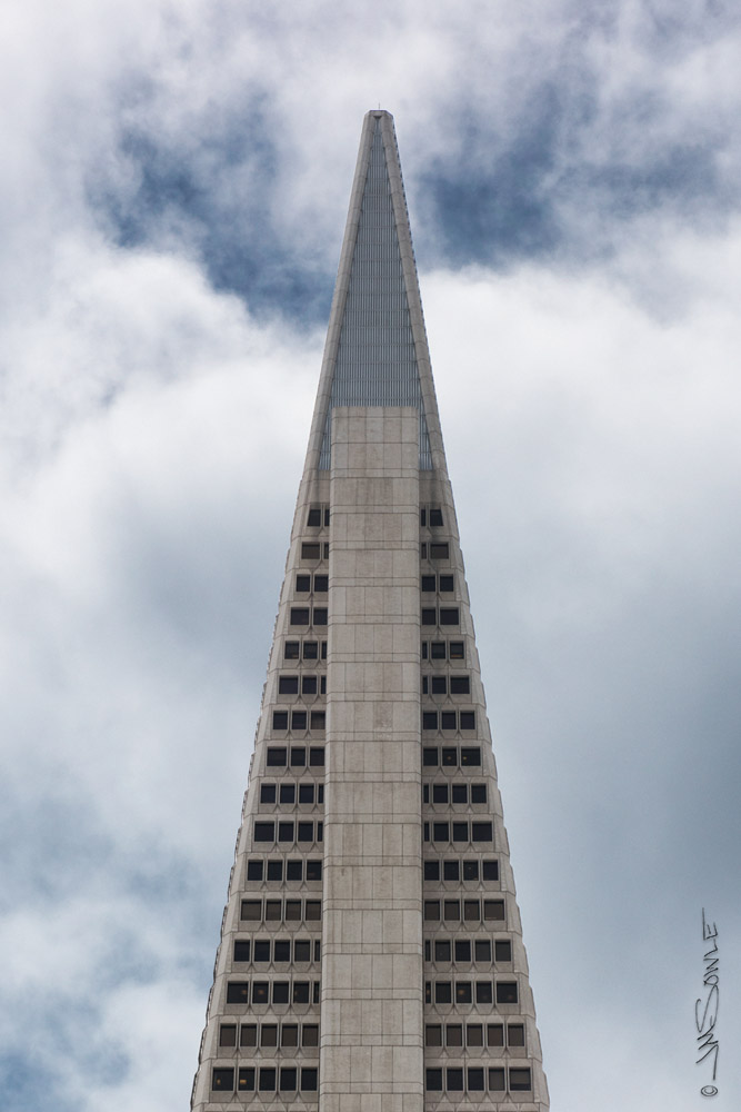 _JMS0489.jpg - A side view of the Transamerica Tower.