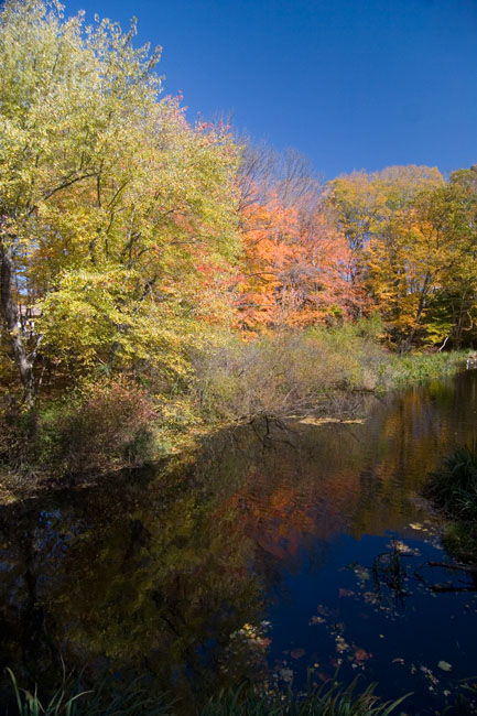 2006_10_21_AutumnReflections.jpg - Autumn Reflections on the Blackstone River, Lincoln Woods State Park