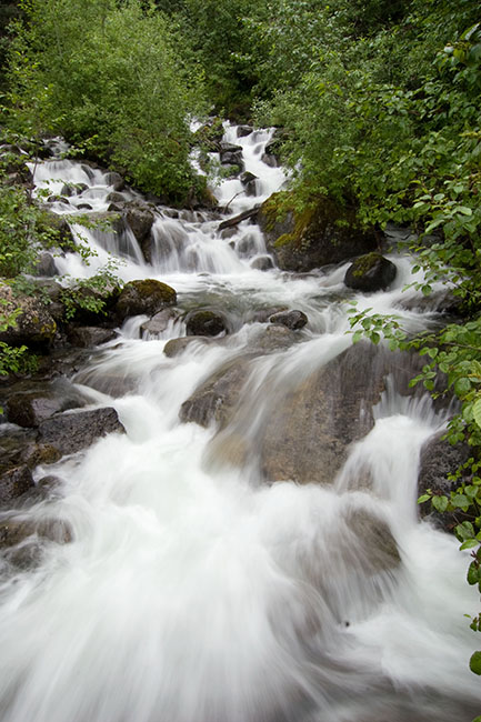 2007_07_14_Juneau_00179sm.jpg - Water Rushing, Mendenhall Glacier Park, Juneau, AK