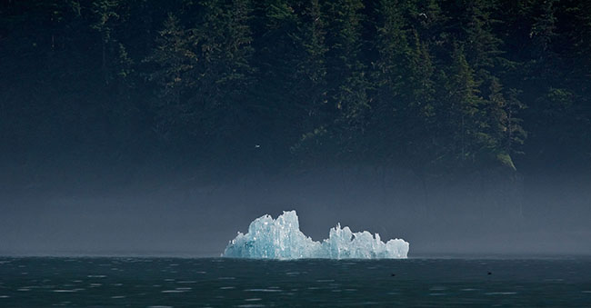 2007_07_15_Juneau_00239sm.jpg - Iceberg under the trees, Tracy Arm Fjord, AK