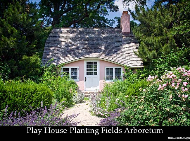 2008_06_21_PlantingFields_Playhouse.jpg - Childrens Play cottage at the Planting Fields Arboretum surrounded by roses and lavender.