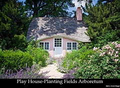 2008_06_21_PlantingFields_Playhouse