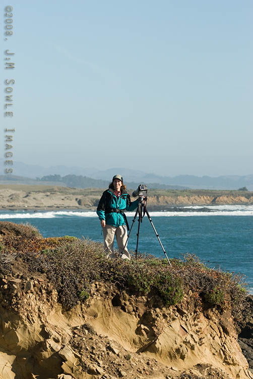 CentralCali_58.jpg - Hali on the bluffs overlooking the Elephant Seal rookery, Piedras Blancas.