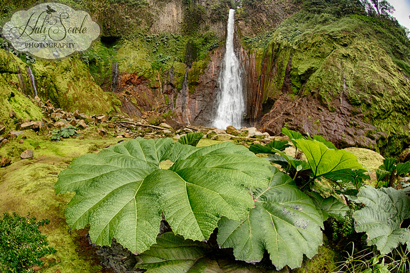 CostaRica_109.JPG - Another image from the base of Carata Del Toro, this one taken with the fisheye.