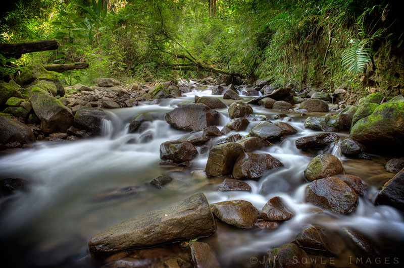 CostaRica_125.JPG - Another stream shot at Bosque de Paz.