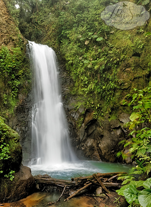 CostaRica_134.JPG - La Paz Waterfall Gardens was a beautiful stop for our last full day in Costa Rica.  Just outside of San Jose, it is a gorgeous hotel with expansive grounds that include 4 waterfalls, an Aviary, a huge butterfly enclosure,  a Serpentarium , as well as enclosures with Jungle Cats, Monkeys and much more.  This was taken at the first Waterfall.