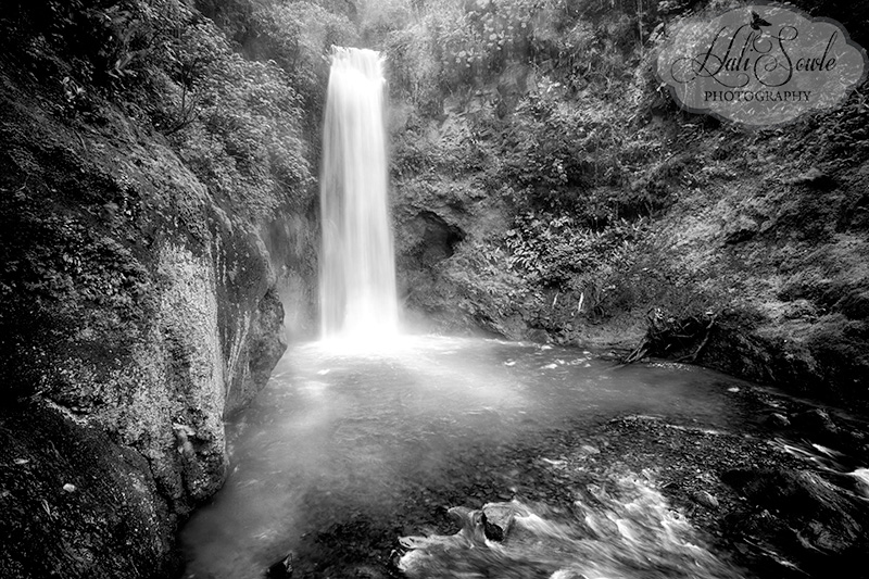 CostaRica_136.JPG - Waterfall #2 at La Paz Waterfall Gardens had so much more volume of water it was nearly impossible to keep my lens dry while I was taking pictures, the water coming up as mist covered everything and I was soaked by the time I moved on.