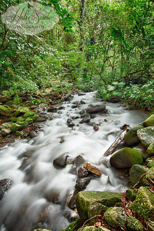 CostaRica_96.JPG - One of the streams running through the grounds of Bosque De Paz Ecological Preserve.