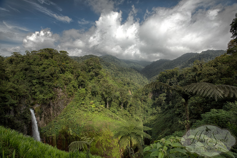 CostaRica_97.JPG - The beautiful countryside surrounding Catarata Del Toro.  Many of these mountains of Bajos Del Toro are unexplored.