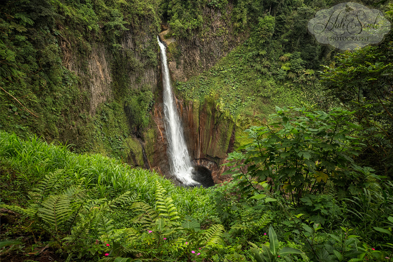 CostaRica_98.JPG - The view from the top of the property the looking down the 200 meter waterfall.