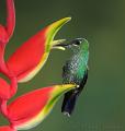 CostaRica_114