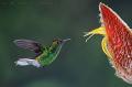 CostaRica_120