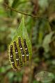 CostaRica_123