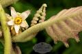 CostaRica_124