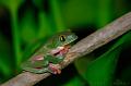 CostaRica_132