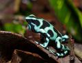 CostaRica_14