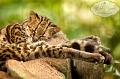 CostaRica_140
