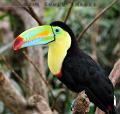CostaRica_142