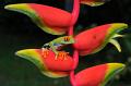 CostaRica_22