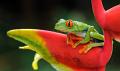 CostaRica_23