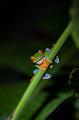 CostaRica_29