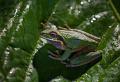 CostaRica_30