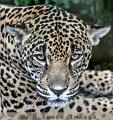 CostaRica_36