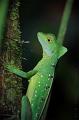 CostaRica_43