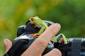 CostaRica_65