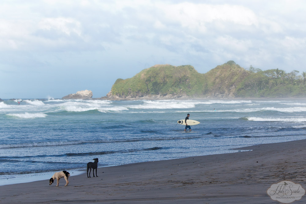 CostaRica2013_02.jpg - The north end of Playa Guiones had this interesting rock formation that always seemed covered in mist.  Although there were plenty of dogs on the beach they were all very well behaved.
