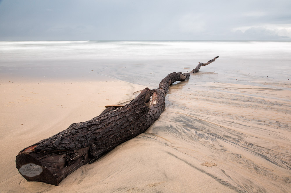 CostaRica2013_06.jpg - Driftwood on the beach as the tide comes in.