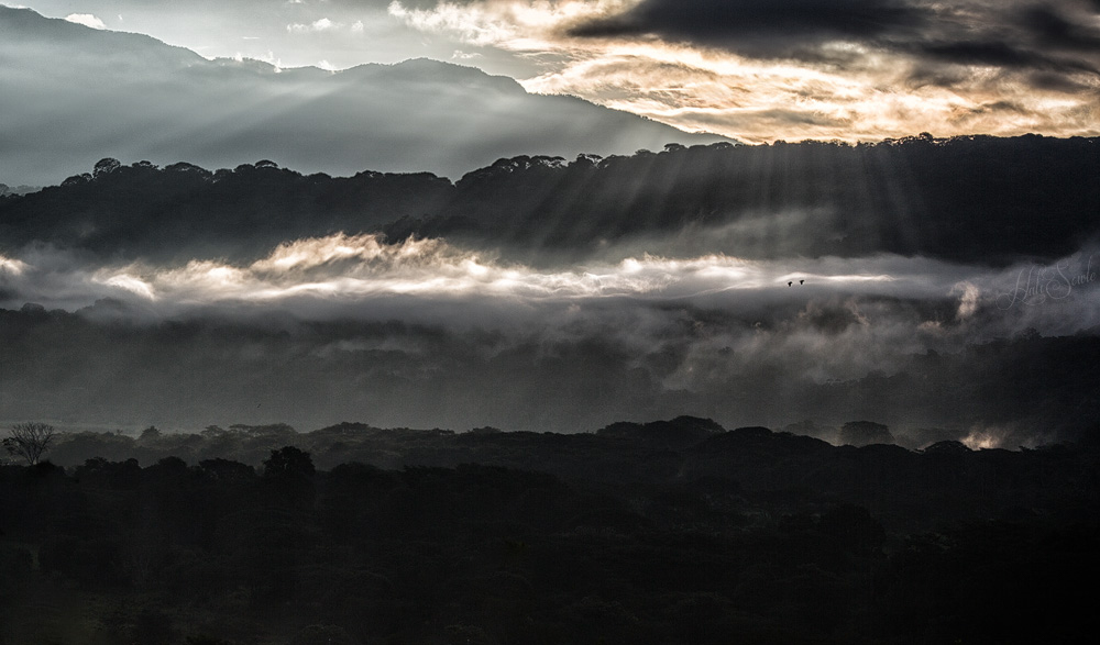 2014_11_17_CostaRica-10033-Edit1000.jpg - Another morning light image from our first stop on the workshop.