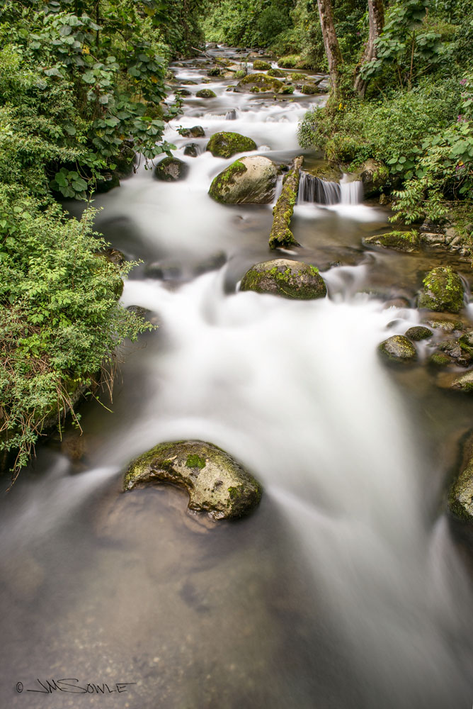 _JMS4932.jpg - The Savegre river, yet again (it's pretty river -- we took many pictures of it).