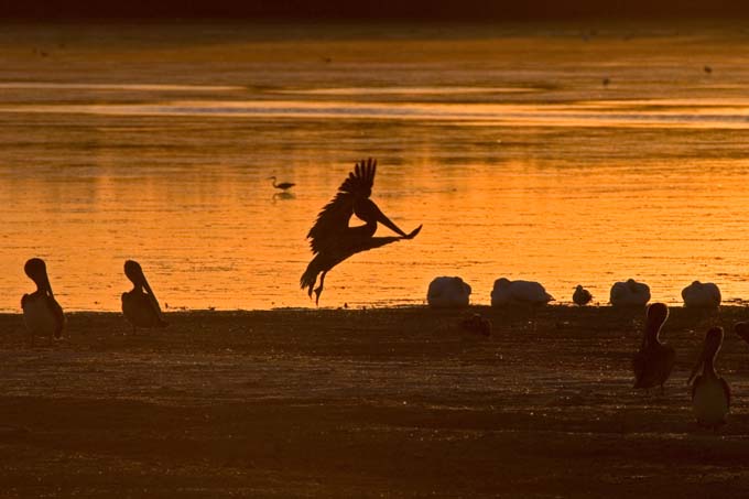 A0422006_10_Sanibel_1080