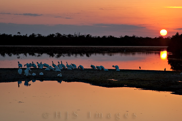 2010_03_27_Florida-11016-Web.jpg - Sunset at Ding Darling NWR.