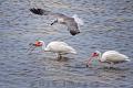 2010_03_8_Florida-10342-Web