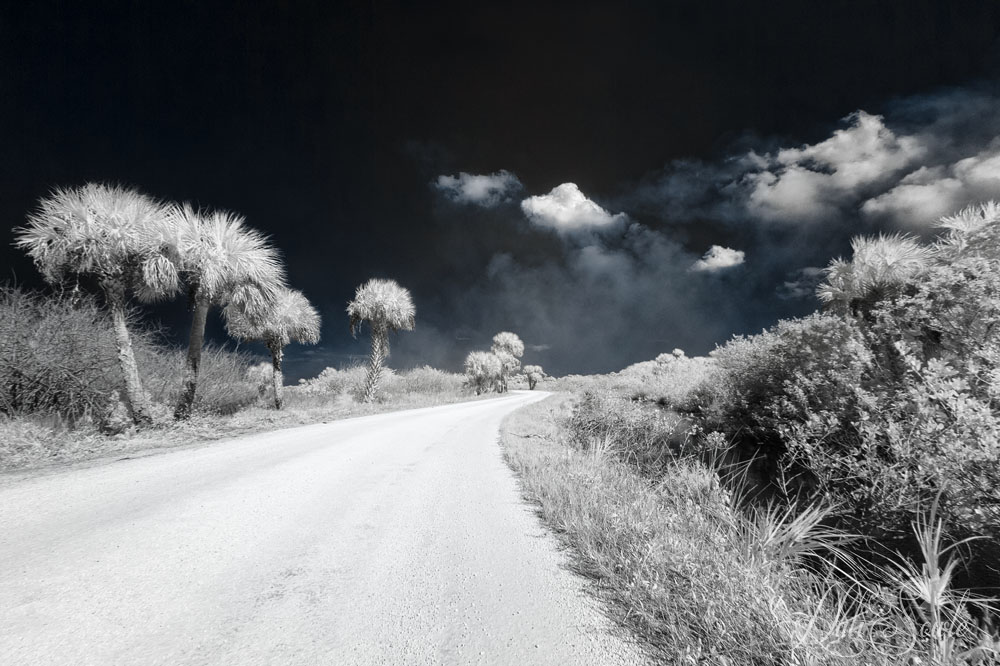 2015_02_Florida-11371-Edit1000-2.jpg