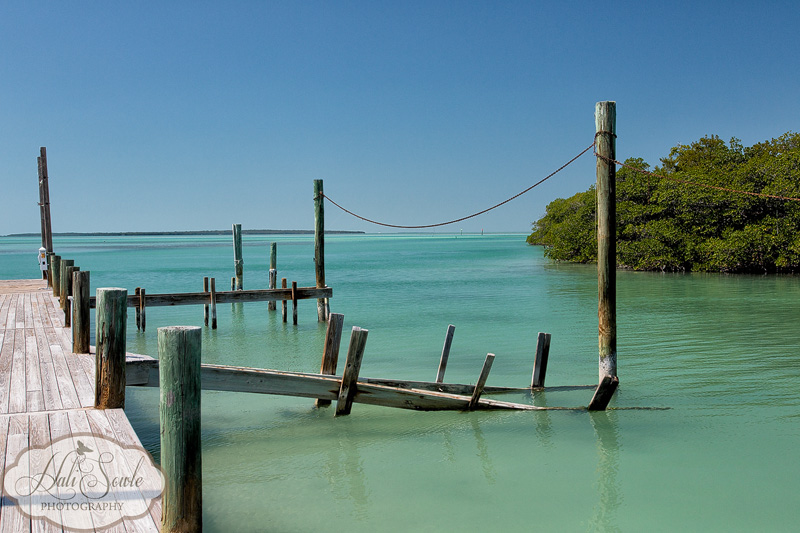 2013_03_08_FloridaKeys-10188-Edit800.jpg - Somewhere between Islamorada and Marathon Key there is this old, broken down marina for sale.  It was a little unnerving walking on it, as many of the pilings were completely rotted out, but it was very worth the walk.