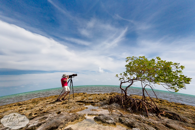 2013_03_11_FloridaKeys-10080-Edit800.jpg - Mike waiting for the flock of pelicans to fly by.